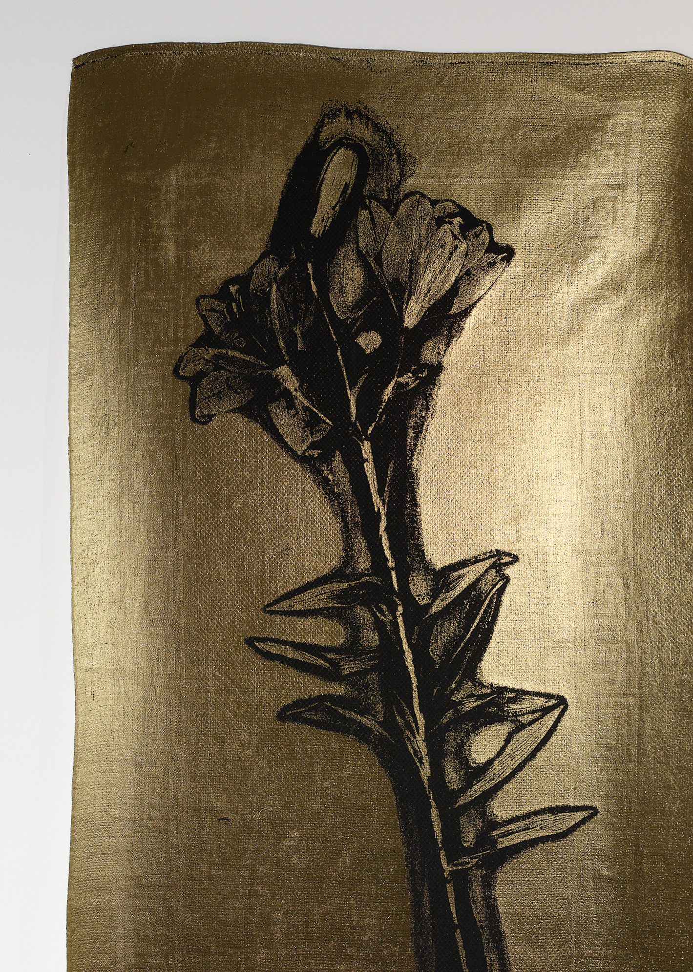 Exposition de Daniel Henry aux Drapiers