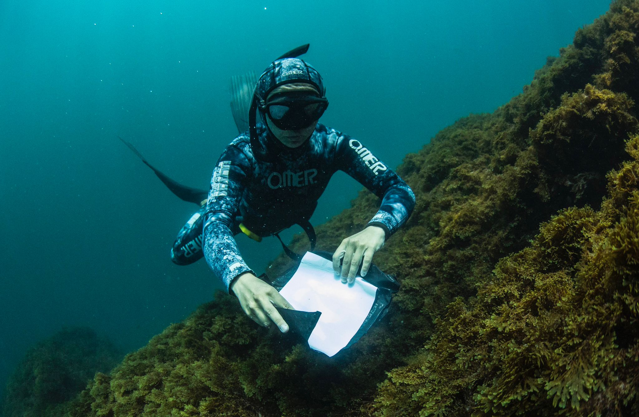 Laure Winants : l’aventure artistique en terres scientifiques