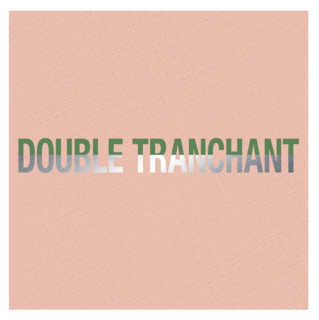 Double Tranchant : cinq artistes pour raconter le monde autrement à la Galerie Centrale