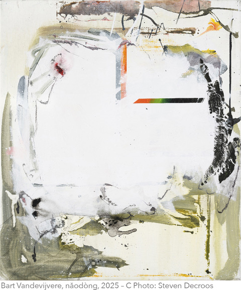 La Galerie LRS52 expose Bart Vandevijvere