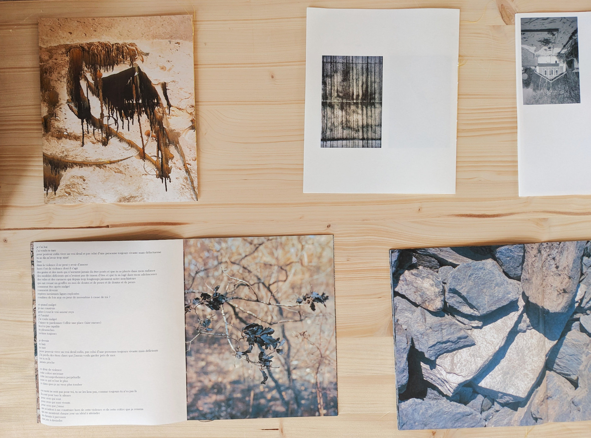 Le poids des histoires murmurées à la Châtaigneraie de Flémalle