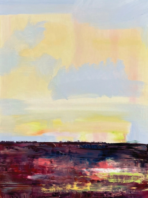 Johan Van Mullem expose à Paris