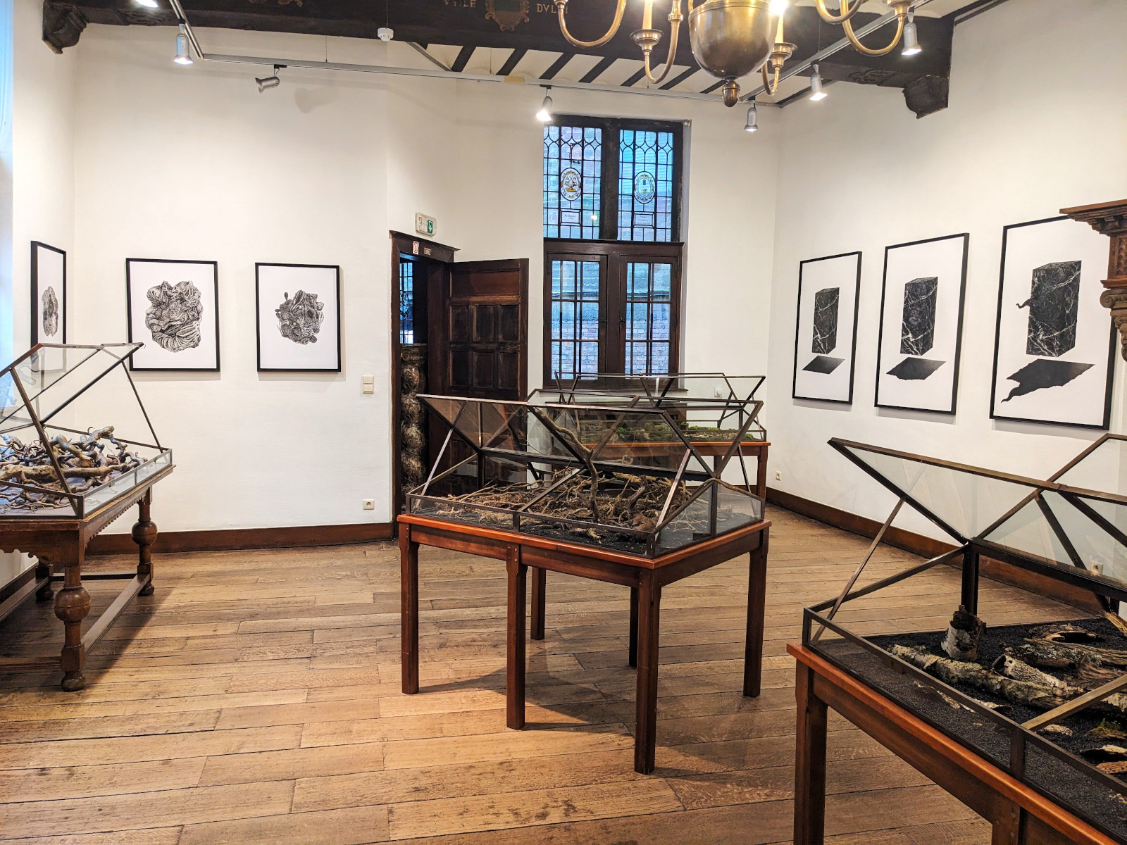 Robin Bodéüs à l&rsquo;Émulation : la métaphore biologique comme récit politique